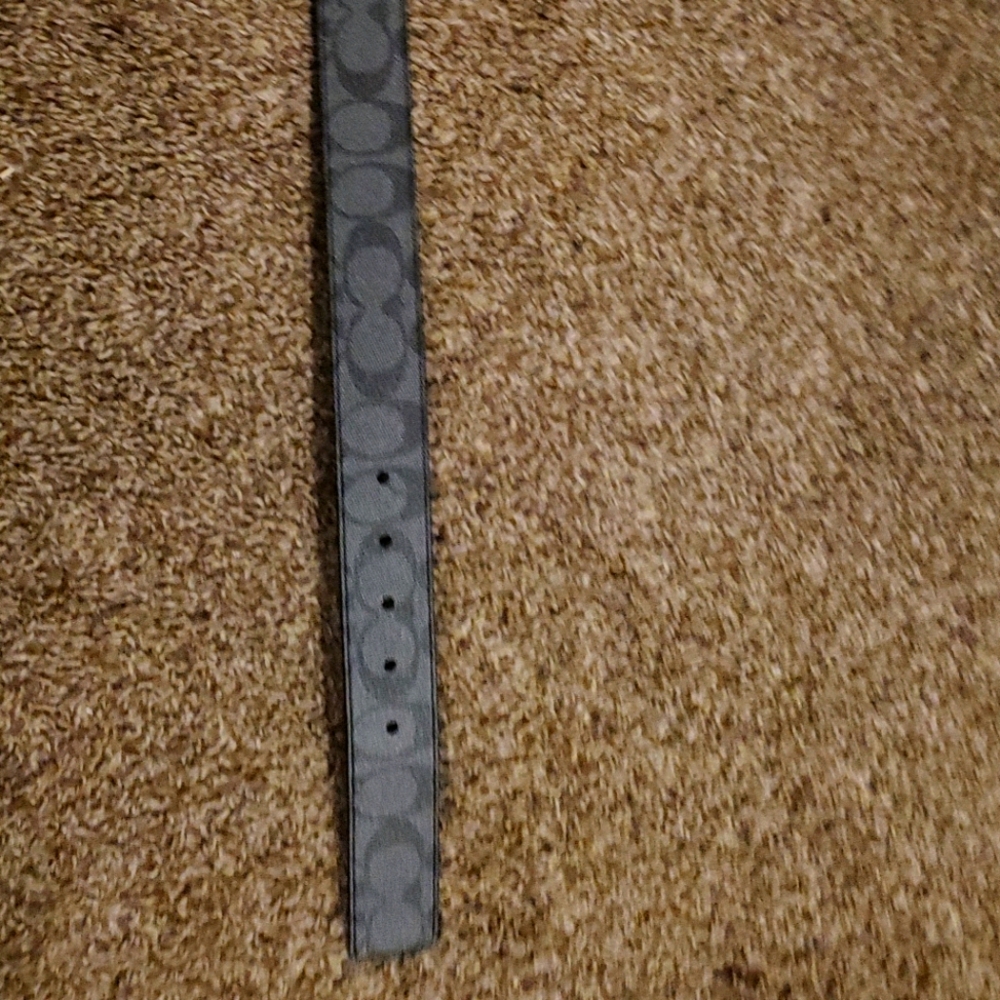 Coach belt